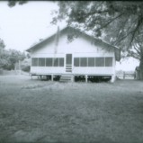 Hackberry