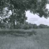 Johnson Family Cemetery